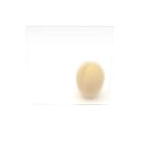 PLEXIGLAS® Milchglas Opal 78% Lichtdurchlässigkeit Acrylglas Sichtschutz (3mm, 1500 x 200 mm)