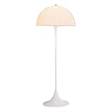 liulishop Stehleuchte Kreative Wohnzimmer Esszimmer Studie Schlafzimmer Stehlampe Acryl Lampenschirm Eisen Stehlampe Stehlamp