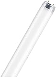 Leuchtstofflampe L 15 Watt 865 Tageslicht - O