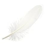 Gänsefeder, ± 15 cm, Weiß, 5 Stück