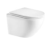 Hänge WC Spülrandlos Designer Wand Toilette Nano beschichtet mit WC Sitz + Deckel aus Duroplast Softclose Absenkautomatik abnehmbar + Beschichtung (IV1394)