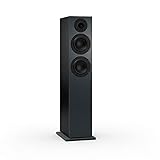 Nubert nuBoxx B-60 | schwarzer Standlautsprecher mit Grauer Front | 1 Stück Passivbox | für junges Wohnen | Kompakte Standbox für HiFi | Lautsprecher bis 35 Hz (-3dB) | ideal im modernen W