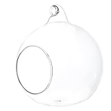 Balacoo Glas Hamster Versteck Sandbad Hängende Glasvase Glaskugeln Kleintiere Habitat Hideout Sommer Cool Hütte Höhle Teelichtglas Pflanzen Terrarium Meerschweinchen Bett für Chinchilla Cage H