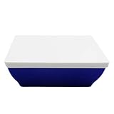 Tupperware Sushi Zen 960 Liter Dose Wasabi Sushi Sashimi Maki Japan Sushidose blau weiß