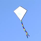Drachen Flugdrachen Kinder Bausätze Bastelset Flugdrachen für Kinder, Einleiner Drachen Doodle-Drachen Basteln Kite Kit, 5 Stück