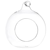 Balacoo Glas Hamster Versteck Sandbad Hängende Glasvase Glaskugeln Kleintiere Habitat Hideout Sommer Cool Hütte Höhle Teelichtglas Pflanzen Terrarium Meerschweinchen Bett für Chinchilla Cage H