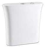 zcyg Spülkästen Toilettentanks, Hockende Wc-wassertank-Tank-Tank Mit Räucherstäbchen-Kasten-haushaltsmontier-wandmontage(Color:EIN)