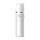 4-in-1 Gesichts-Luftbefeuchter, multifunktional, 20 ml Fassungsvermögen, wiederaufladbarer Ventilator, Taschenlampe, Powerbank für Zuhause, Büro, Reisen, rosa B