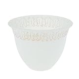 perfk 2X E27 Lampenglas Ersatzglas Lampenschirm für Pendelleuchte/Wandleuchte/Tischleuchte Typ 5