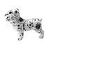 Apfel-Pidou Spardose Max English Bulldogge, Schwarz und Weiß, B