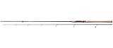 Daiwa Procaster Spin 2tlg. 30-70g 2.40