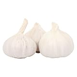 greenist Bio Knoblauch trocken Demeter 0,5kg Frischesortiment 1er Pack (1 x 500 g)