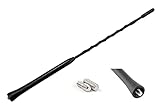 Audioproject A103 - Autoantenne 28cm - kompatibel für VW Golf 4 5 6 7 Passat Lupo Polo 6R Audi A6 Opel Corsa C D Astra G H Ford Focus Renault BMW Seat Skoda Radio-Antenne Dach-Antenne Auto-R