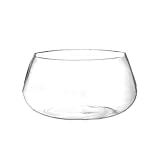 liangzishop Fischtank Aquarium Kleine Glas Desktop Turtle Tank Haushalt ökologischer Schildkröten Tank Turtle Panzer Turtle Special Tank Aquarien (Size : S)