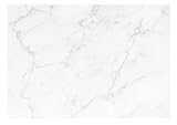 Fototapete Marmoroptik weiß Steinoptik Mauer Marmor Wohnzimmer Schlafzimmer Vlies Tapete Latexdruck UV-Beständig Montagefertig (14087, V8 (368x254 cm) 4 Bahnen)
