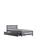 Risal Caro Jugendbett Kinderbett Einzelbett Massivholz 10 Farben 160x80 190x90 200x90 (Grau, 80 x 160 cm)