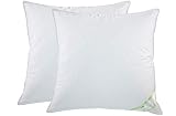 franknatur - 2X Kopfkissen 100% Gänse-Federn Klasse 1 Kissen 80x80 C