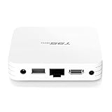 WishHome T95MINI Set-Top-TV-Box, Netzwerk-Player, 4 GB + 64 GB, unterstützt Skype-Chatting, Youtube, Facebook, Online-Filme, Android-Anwendungen, Sp