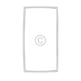 Türdichtung kompatibel mit LIEBHERR 7108973 für Kühlschrank Gewerbekühlschrank