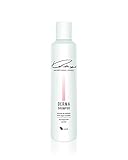 KNAUS DERMA MILD SHAMPOO gegen Schuppen Irritationen Talgproduktion Kopfhautprobleme Weidenrinde mit Zink VEGAN 200ml (1x 200ml)