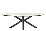 Luxus Aluminium Gartentisch Edison Oval mit Polywood Tischplatte, 220 x 115 cm absolut wetterfest,