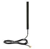 QIANGQIANG Very gondhh DAB + FM/AM Autorady-Antenne verstärkte Luft-Innenglashalterung SMB Stecker fit für JVC. Pioneer Alpine Kenwood C