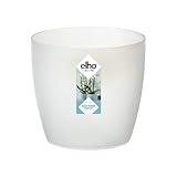 Elho Brussels Orchidee 16 - Blumentopf für Innen - Ø 16.0 x H 14.6 cm - Transparent/Transp