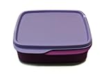 Tupperware to Go Lunchbox Clevere Pause 550 ml lila Flieder mit Trennw