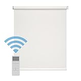 Easydeco - Rollo für Motor Screen Premium (weiß, 200_x_250_cm)