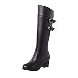 RTPR Dame Winterschuhe, Retro Reißverschluss Langschaftstiefel Klassische Boots Stiefel, Langschaft Lederstiefel, Modische Strassblumen-Reiterstiefel Mit Seitlichem ReißV