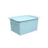 LDH 2 Stück 5L Plastikaufbewahrungsbehälter, Desktop-staubdichte Aufbewahrungsbox, Unterwäsche, Socken, Kleidung Organizing Box mit Deckel, Stapelbar und Nestbar (Farbe : Blau)