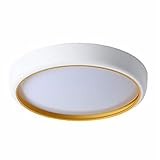 MCWYH Moderne Minimalistische LED-Deckenleuchte, Dreifarbiges Licht (3000k/4500k/6000k) Deckenlampe,25W 2100LM Einfach Zu Installierende Leuchte,Verwendet Für Küchen, T