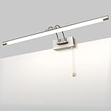 TYhogar LED Badezimmer Spiegel Lampen Wandleuchte Bilderleuchte Nachttischleuchten Mit Schwenkbarem Lampenkopf Zugschalter Wandleuchter Beleuchtung Fixture,12W IP44 Wandbeleuchtung Leselampen(Nickel)