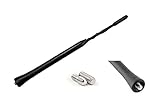 Audioproject A355 - Autoantenne 17cm - kompatibel mit VW Golf 4 5 6 7 Passat Lupo Polo 6R Audi A6 Opel Corsa C D Astra G H Ford Focus Renault BMW Seat Skoda Radio-Antenne Dach-Antenne Auto-R