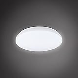 B.K.Licht 15 Watt LED-Deckenleuchte I Ø275 mm I neutralweiße Lichtfarbe 4000 K I indirektes L