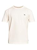 Quiksilver™ Essentials - Organic T-Shirt for Men - Bio-T-Shirt - M