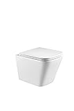 Hänge WC Spülrandlos kurz, Designer Wand Toilette Nano beschichtet mit WC Sitz + Deckel aus Duroplast in 2 versionen und Softclose Absenkautomatik abnehmbar + Beschichtung (IV1375)