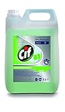 Pro Formula Professional Allzweckreiniger Apfel 5L