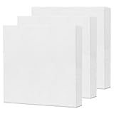 AvoDovA 3 STÜCK Weiß Leere Leinwand aus Baumwolle mit Keilrahmen, Weiße Künstler Leinwänd Panel Keilrahmen Set für Ölund Acrylfarben, Leere Dick Leinwand Zum für Acryl, Ölfarbe (20 * 20cm)