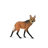 Wilk Maned L