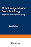 Kreditvergabe und Verschuldung: Eine risikotheoretische Untersuchung