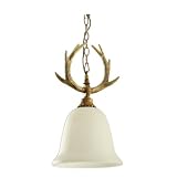 Aniiii Retro Geweih Pendelleuchten Moderne minimalistische Esszimmerlampe Wohnzimmer Schlafzimmer Harz Glaslampe Technik Lampe Café Bekleidungsg