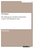 Die Haftung der GmbH-Gesellschafter wegen Unterkapitalisierung