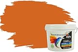 RyFo Colors Bunte Wandfarbe Manufakturweiß Aprikose 3l - weitere Orange Farbtöne und Größen erhältlich, Deckkraft Klasse 1, Nassabrieb Klasse 1