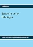 Synthese unter Schutzgas: Ratgeber vom Praktiker für Arbeiten in einem chemischen Lab