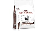 Royal Canin Cat Gastro Intestinal Moderate Calorie Feline, 1er Pack (1 x 400 g)