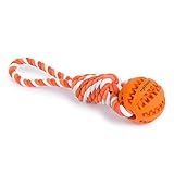 PAWDY Hundeseil mit Ball für Spielspaß und Zahnpflege - Robustes Hundespielzeug für Große & Kleine Hunde - Kauspielzeug mit Noppen aus Naturkautschuk - Ball Seil Wurfspielzeug für Hunde (orange)