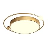 WYAYAN Nordic Golden LED Kreative Deckenlampe Einfache Und Stilvolle Dimmbare LED-Deckenleuchte Runde LED-Deckenleuchten Zur Unterputzmontage Kreisförmige Dekorative Beleuchtung Super Brig