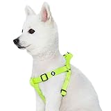 Blueberry Pet Essentials Classic Hundegeschirr, robust, Nylon, Brustumfang 66 cm - 99 cm, Textmarker, Gelb, groß, verstellbar, für Welpen, Jungen, Mädchen, H