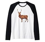 Zeichnung eines Hirsch Rag